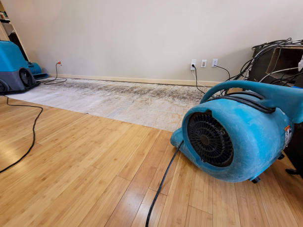 Professional Flood Damage Cleanup technician working in Medina, NY